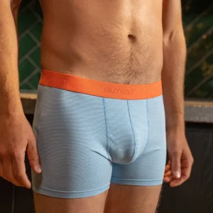 BILLYBELT Boxer en coton biologique Blue stripes> Boxers
