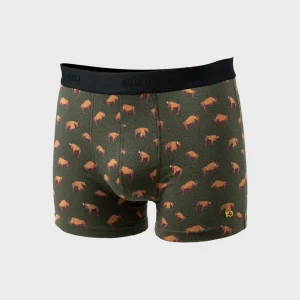 BILLYBELT Boxer en coton biologique Buffalo green> Boxers