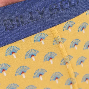 BILLYBELT Boxer en coton biologique Moderna> Boxers
