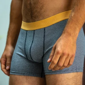 BILLYBELT Boxer en coton biologique Navy stripes> Boxers