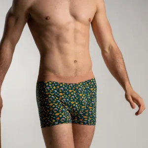 BILLYBELT Boxer en coton biologique Ottawa> Boxers