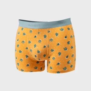 BILLYBELT Boxer en coton biologique Saguaro> Boxers