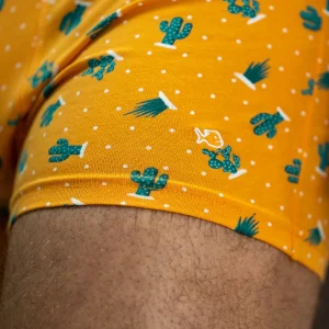 BILLYBELT Boxer en coton biologique Saguaro> Boxers