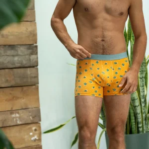 BILLYBELT Boxer en coton biologique Saguaro> Boxers