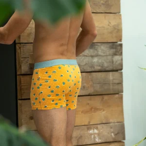 BILLYBELT Boxer en coton biologique Saguaro> Boxers