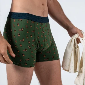 BILLYBELT Boxer en coton biologique Teckel> Boxers
