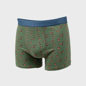 BILLYBELT Boxer en coton biologique Teckel> Boxers
