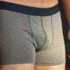 BILLYBELT Boxer en coton biologique Watermelon point> Boxers