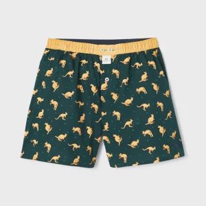 BILLYBELT Caleçon en 100% coton biologique Australian> Caleçons