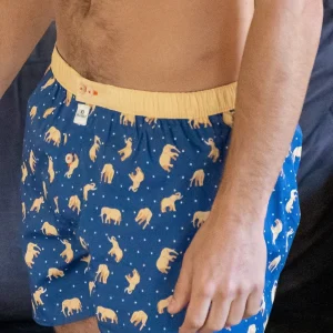 BILLYBELT Caleçon en 100% coton biologique Elephant dream> Caleçons