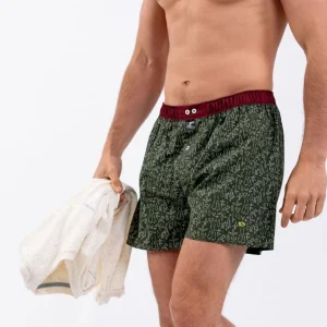 BILLYBELT Caleçon en 100% coton biologique Rovaniemi> Caleçons