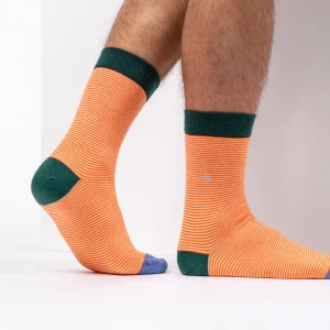 BILLYBELT Chaussettes en coton peigné Rayées - Audacieuse>Homme Chaussettes Fantaisie