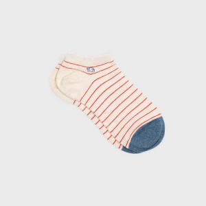BILLYBELT Socquettes en coton peigné A rayures fines ->Homme Chaussettes Basses